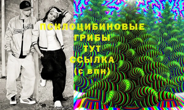 ГАЛЛЮЦИНОГЕННЫЕ ГРИБЫ Вязники